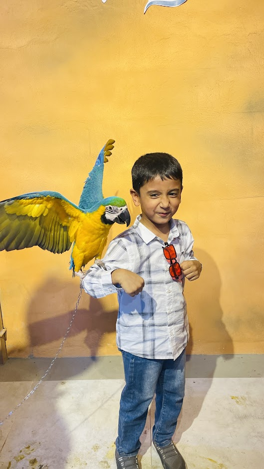 Munim posing with a colorful blue and yellow macaw